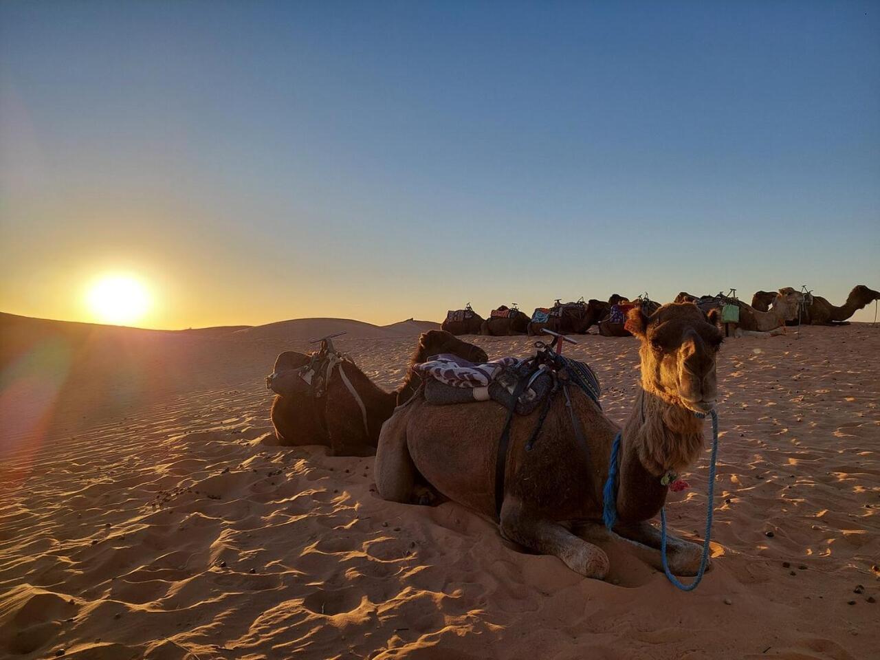 Desert Experience Glamping Merzuga Kültér fotó